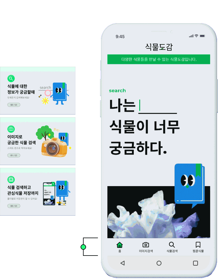 식물도감 메인화면