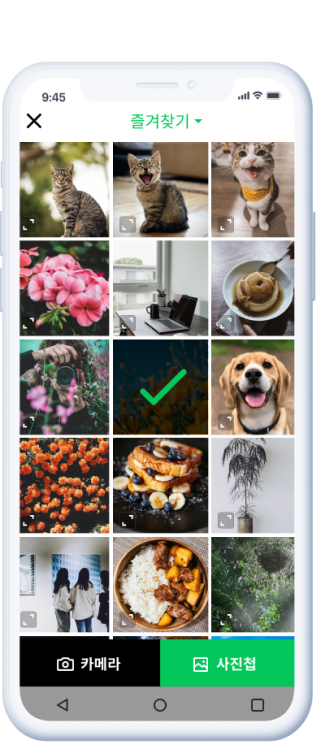 앨범 이미지 검색